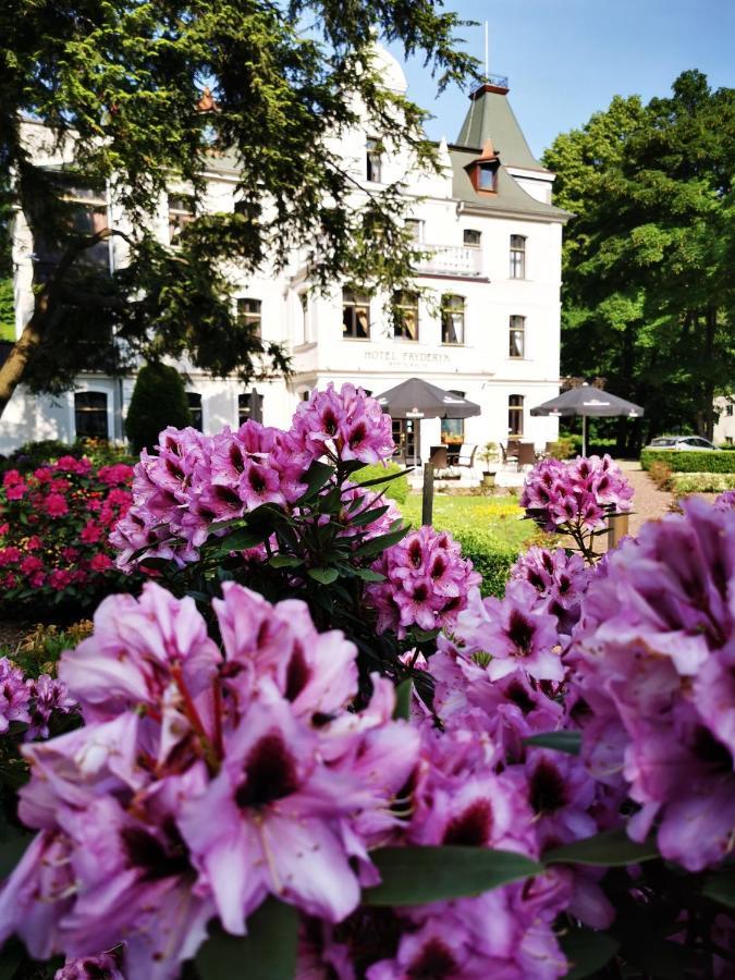 Hotel Fryderyk ドゥシュニキ・ズドルイ エクステリア 写真