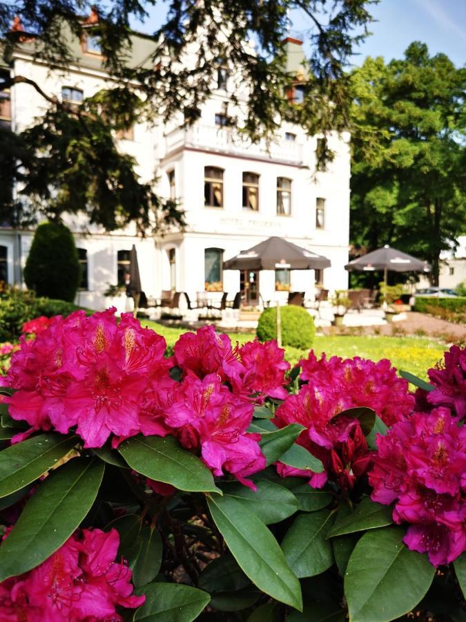 Hotel Fryderyk ドゥシュニキ・ズドルイ エクステリア 写真
