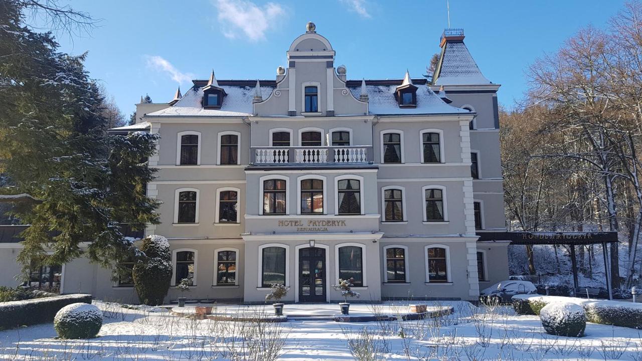 Hotel Fryderyk ドゥシュニキ・ズドルイ エクステリア 写真